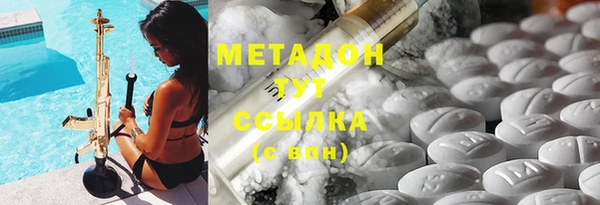 шишки Белокуриха