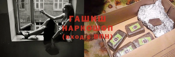 шишки Белокуриха
