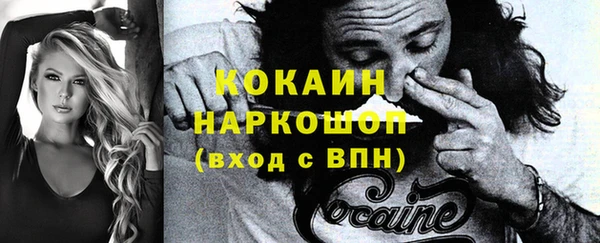 шишки Белокуриха